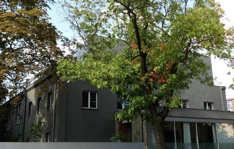Bildschirmfoto 2019-10-02 um 09.27.49.png Bildschirmfoto 2019-10-02 um 09.27.49.png